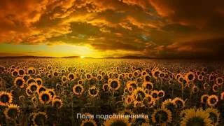 РУМЫНИЯ (Romania). Замки. Горы. Пейзажи.
