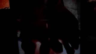 Fatti una risata video di tickling solletico