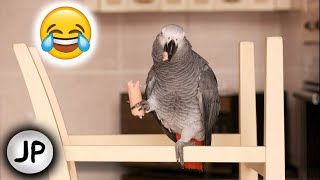 - ДАЙ СОСИСКУ, ЖМОТ,  ПЕТРУНЬКА КУШАТЬ ХОЧЕТ?СМЕШНО ДО СЛЁЗ?