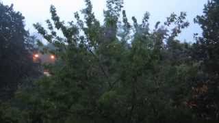 Audra, storm in Vilnius