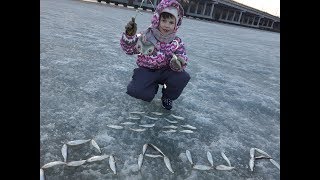 Семейная рыбалка