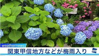 関東甲信地方などが梅雨入り