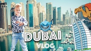 Dubai Travel Vlog 2017 - Невероятно, но я в Дубаи! ОАЭ День #1 | Matvey Star