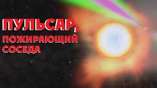 ЧЁРНАЯ ВДОВА КОСМОСА: ПУЛЬСАР, ПОЖИРАЮЩИЙ СОСЕДА
