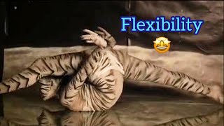 Надежда Васина разминка 37 #NadyaVasinaShow #stretching #растяжка
