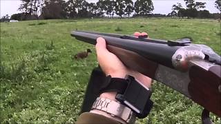 Fox Hunting with Teckels and Sauer 3000 Drilling V