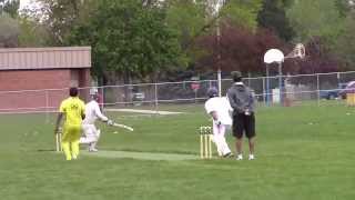 5-17-2014, FCCC x CCB, T-20, Gaurav Mittal wkt