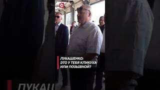 Лукашенко: Это у тебя кликуха или позывной? Почему вы не работаете? (Архив) #shorts