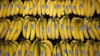 World's Top Banana Could Go Extinct
