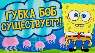 ВЫЗОВ ГУБКИ БОБА