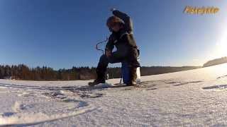 Fiskelykke: Is fiske romjul 2014 Abbor \ Perch fishing
