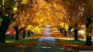 Adam Nickey pres. Blue Eleventh Street (Suncatcher Remix)