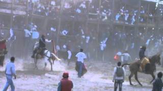 Monta de Toro - Machachi - 2011