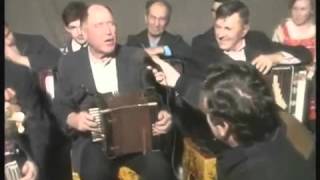 Гармонь минорка (тальянка) - Чита 1996