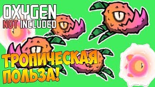ПОЛЬЗА ТРОПИЧЕСКИХ ПАКУ! |18| Oxygen Not Included: Expressive Upgrade
