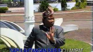 [ Madihin ] - DAMARWULAN - Anang Ardiansyah - Dangdut Banjar Kalimantan Selatan
