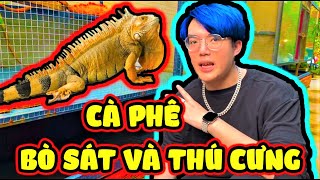 PHONG CẬN VÀ SIRO TRỐN NGƯỜI YÊU ĐI HẸN HÒ | ĐI CÀ PHÊ BÒ SÁT ĐÁNG SỢ VÀ THÚ CƯNG CÙNG HERO TEAM