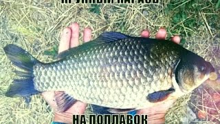 секреты рыбалки мега крупный карась на поплавок _ fishing secrets mega big carp on the float