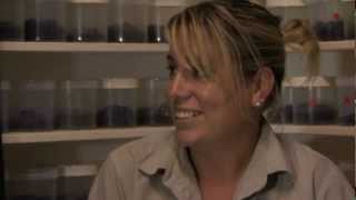 Milking Deadly Funnel-web spiders: Pt 1 Envirotube