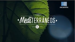 OBRA EN CONSTRUCCIÓN / Capítulo 3 ¨MEDITERRÁNEOS¨