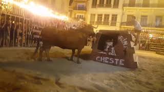 TAUROEMISIONTorosenDirecto Cheste 2 vaca Machancoses