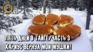 5 дней в тайге/Рыбалка/Таёжный быт/Часть 3