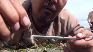 Как связать муху, что даст фору фирменной / Know how to make a coachman that beats any brand fly