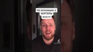 Не оппозиция, а хейтеры власти