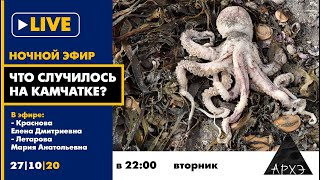 Ночной эфир "Что случилось на Камчатке?" в формате беседы Е.Д. Красновой и М.А. Летаровой