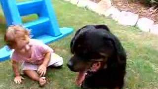 1yr old baby attacks rottweiler