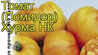 Томат Хурма НК. Краткий обзор, описание характеристик, где купить семена solánum lycopérsicum