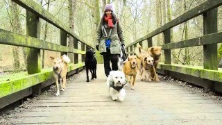 E La Dogwalker