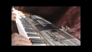 YAMAHA PSR E-413   RAJSKI PTAK - cover