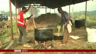 DR Congo refugees in Uganda  #039;rise to 70,000 #039;   Red Cross