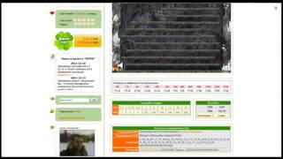 Тактика игры Камикадзе 2 igrun com 15 баксов за 5 минут!