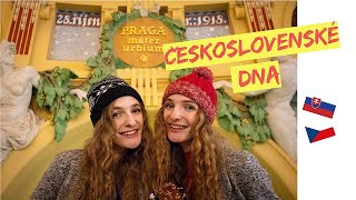 TBeeGirls - Československé DNA (original)
