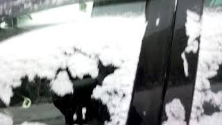 Scenic 3 1.6 dci запуск в -18