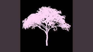 Pink Tree