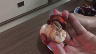 Cách Ăn măng cụt dễ dàng - hãy bóp đít!!!