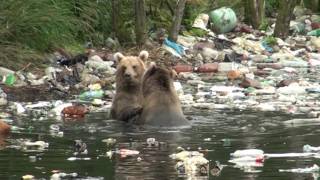 с  Соболево 03 09 2011 свалка   2