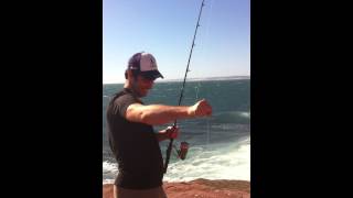 Ben's First kalbarri Tailor
