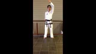 Traditional TAEKWON-DO - Rising Block