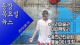 [2019년 8월 15일] 동구에 워터파크가?! / 시원한 실내 바캉스 우리미술관