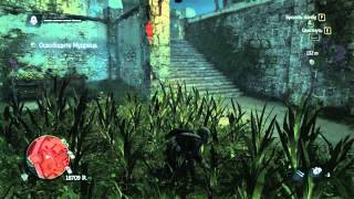 Assassins Creed IV Black Flag Прохождение на 100%. Часть 2. Миссия 6. Есть претензии.
