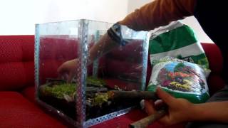 Stroimy Terrarium Dla Wijów Czerwononogich
