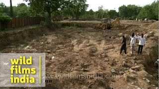 Remains of the 1857 Akbarabadi Masjid??