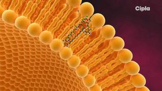 Liposome: A Technological Marvel Module2