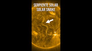 SERPIENTE SOLAR - SOLAR SNAKE - #shorts