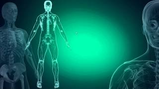 Экспертная система референтной 3D диагностики и лечения для неврологии.