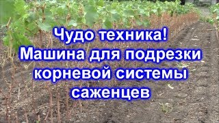 Машина для подрезки корневой системы саженцев